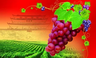 包装 葡萄包装 红提包装图片