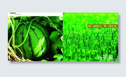 农业封面谷物篇图片