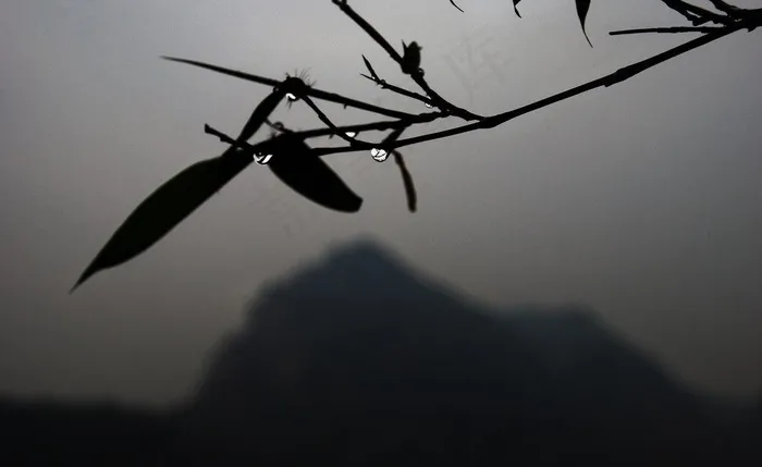 竹子 远山 山的剪影图片