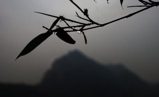 竹子 远山 山的剪影图片