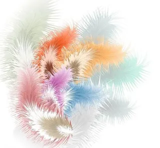 羽毛背景图片