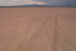 美丽的大草原模板下载