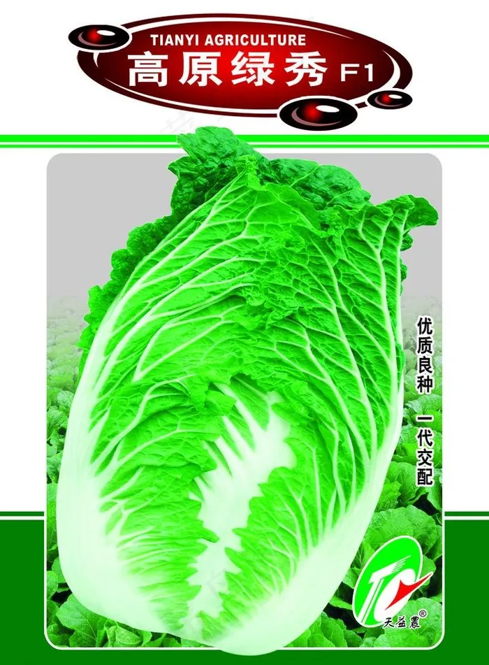 白菜种子包装设计图片psd模版下载