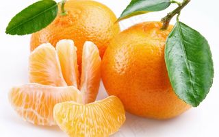 橘子商业广告素材 水果静物