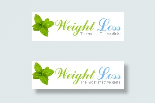 欧美瘦身食谱网站css模板