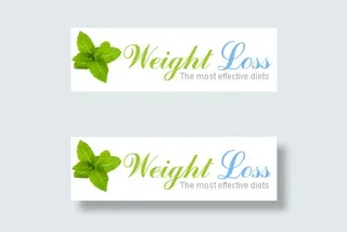 欧美瘦身食谱网站css模板