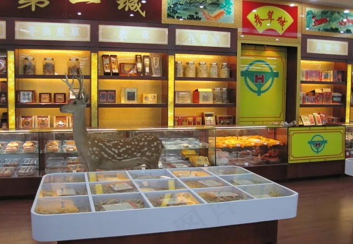 参茸城图片