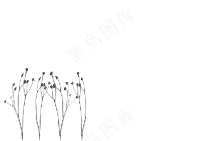 简约干花壁纸背景psd模版下载