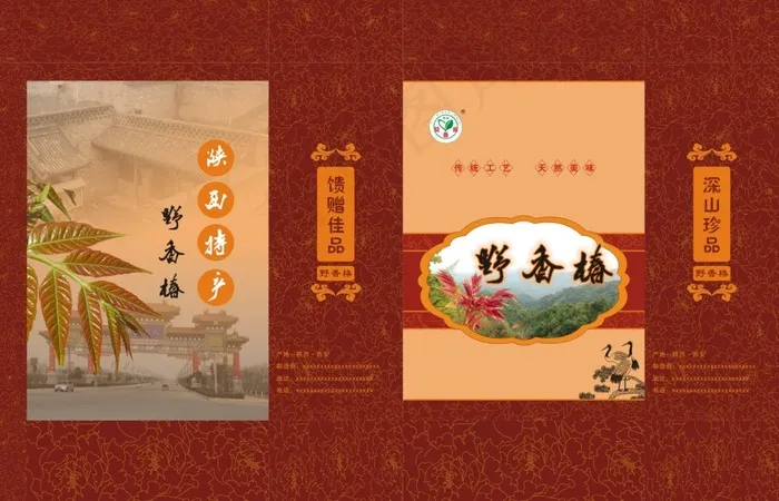香椿手提袋cdr矢量模版下载