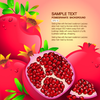 矢量有机食品backgorunds...