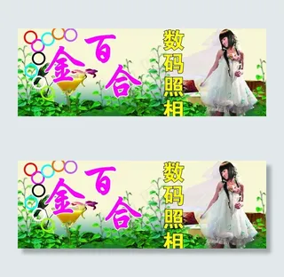 金百合数码照相图片