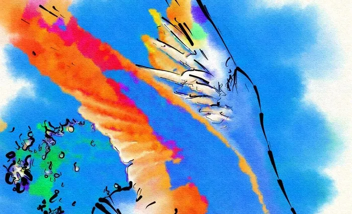 鸟儿的翅膀图片