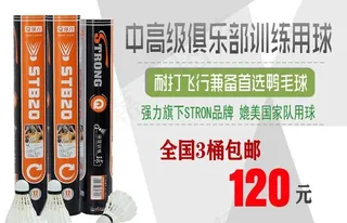 羽毛球广告图片