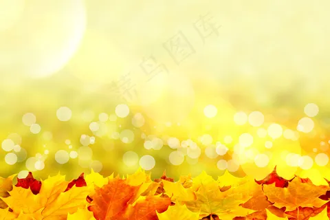 秋天背景 秋天背景