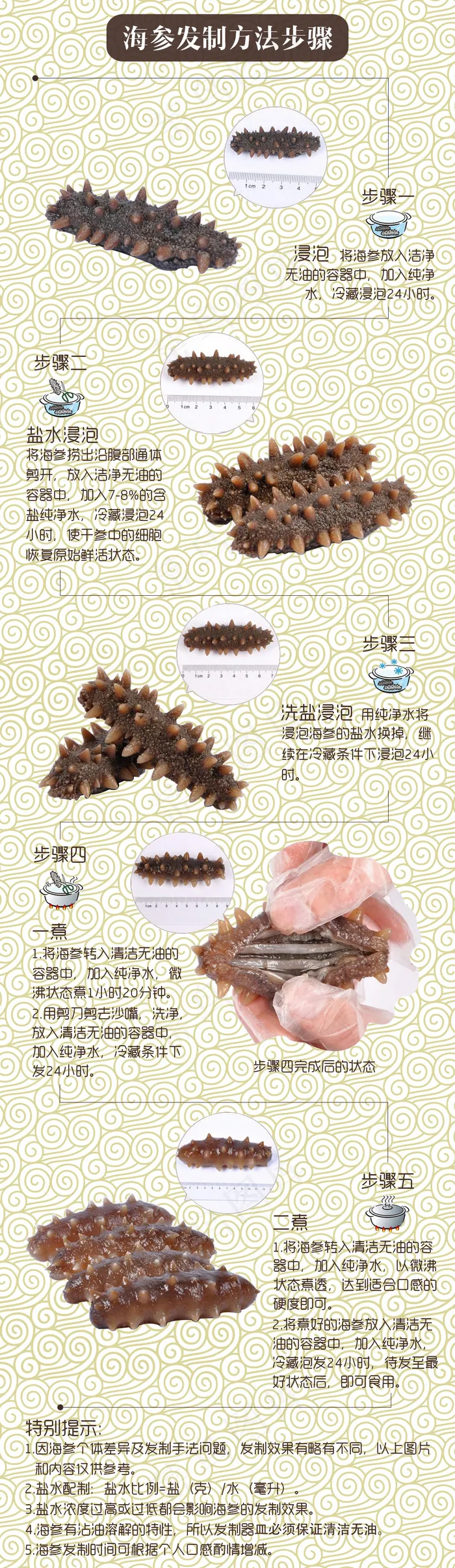 海参泡发方法psd模版下载