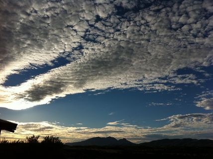 澳洲 澳大利亚 austral图片