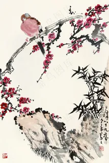 花鸟图片 花鸟图片