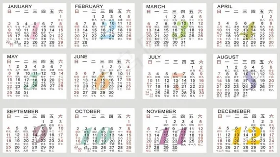 2011兔年横版日历表矢量素材