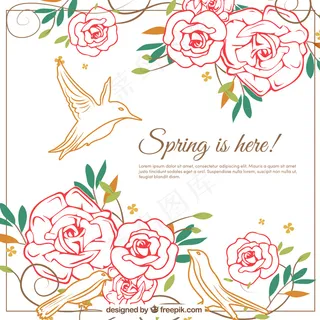 花和鸟的春天背景