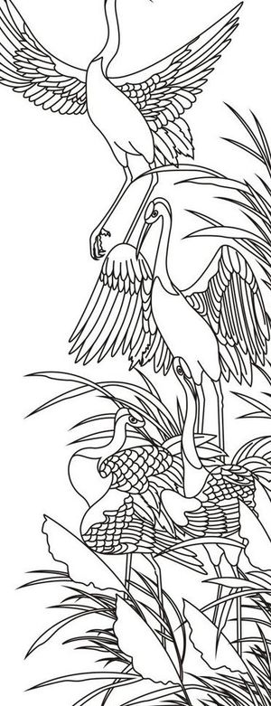 松鹤 松树 仙鹤