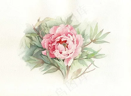 非矢量 PSD 写意花卉 免费素材 非矢量 PSD 写意花卉 免费素材