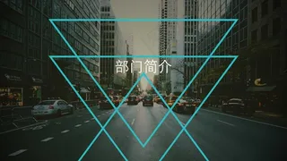 商务风欧美风工作汇报PPT