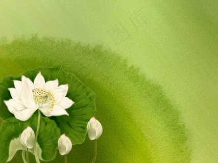 素雅禅意荷花环境图
