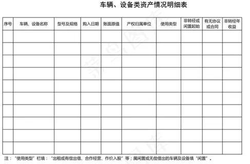 车辆、设备类资产情况明细表