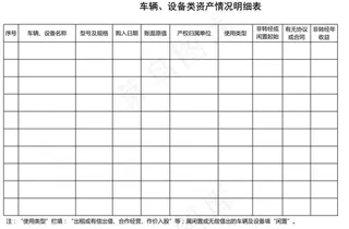 车辆、设备类资产情况明细表