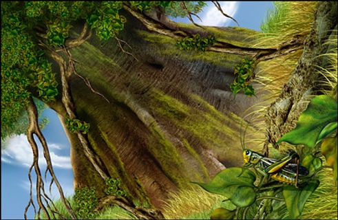 大树头下的小草蜢高清晰psd素材