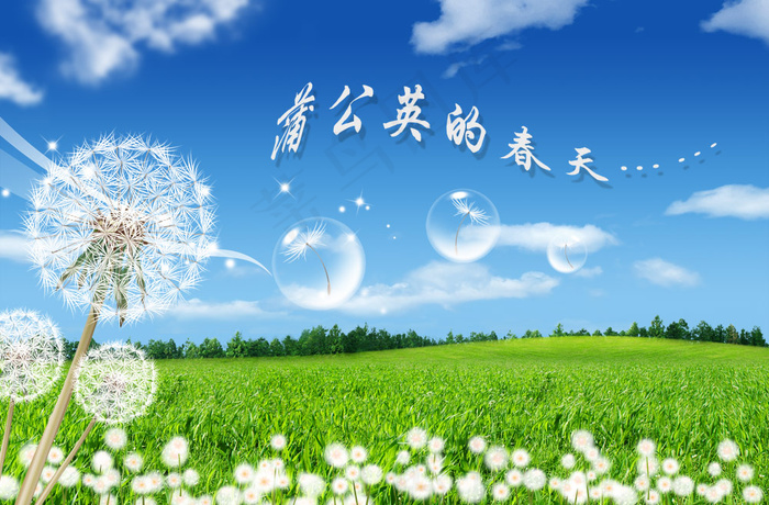 蒲公英的春天(3500X2300(DPI:300))psd模版下载