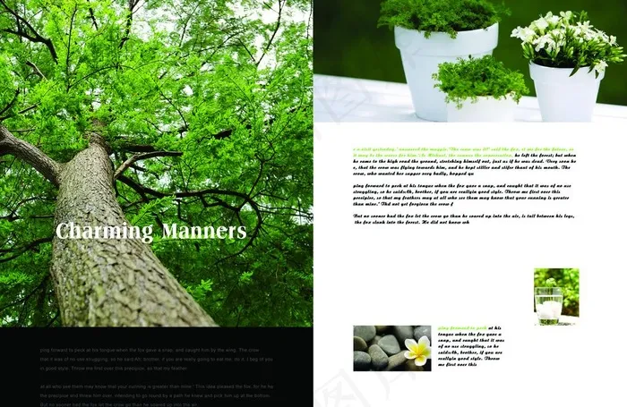 绿色环保 森林绿化 盆景风景图片(3437X2426(DPI:300))psd模版下载