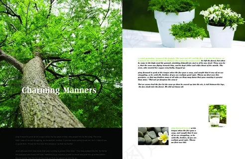 绿色环保 森林绿化 盆景风景图片