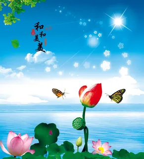 荷花 蝴蝶 天空 太阳 荷花 蝴蝶 天空 太阳