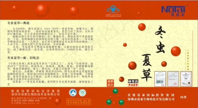 冬虫夏草胶囊宣传折页古典风格cdr矢量模版下载