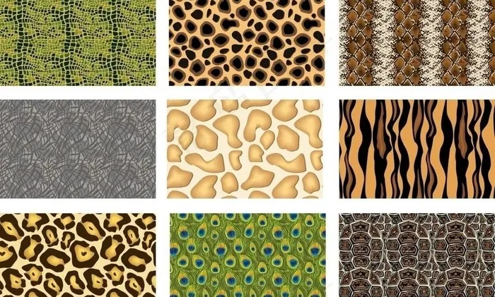 自然动物皮图片ai矢量模版下载