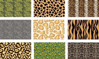 自然动物皮图片