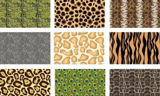 自然动物皮图片