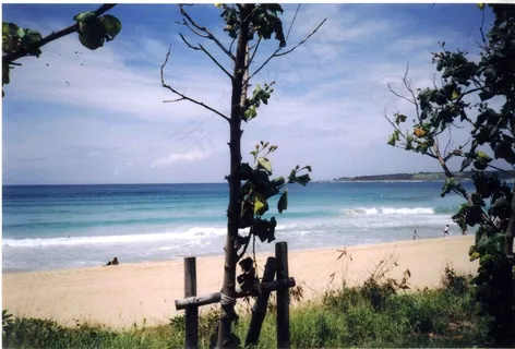 海滩图片 海滩图片