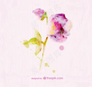 水彩花朵图片