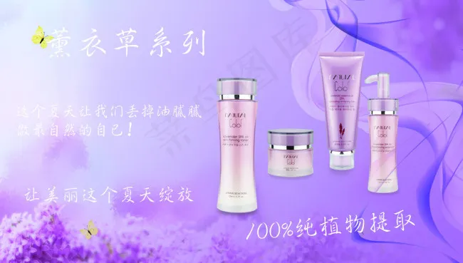 薰衣草系列品牌化妆品模板psd模版下载