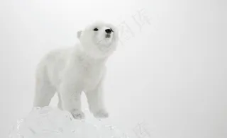 北极熊玩偶图片