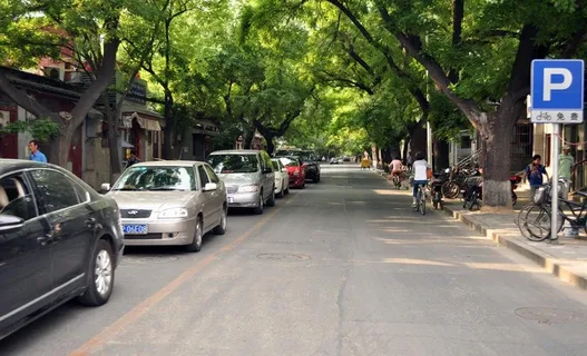 北京林荫道图片