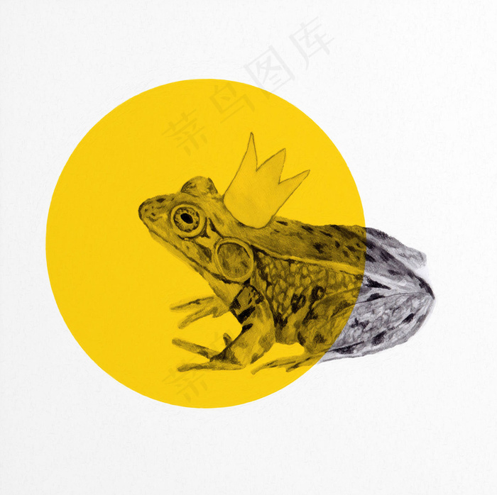 动物插画