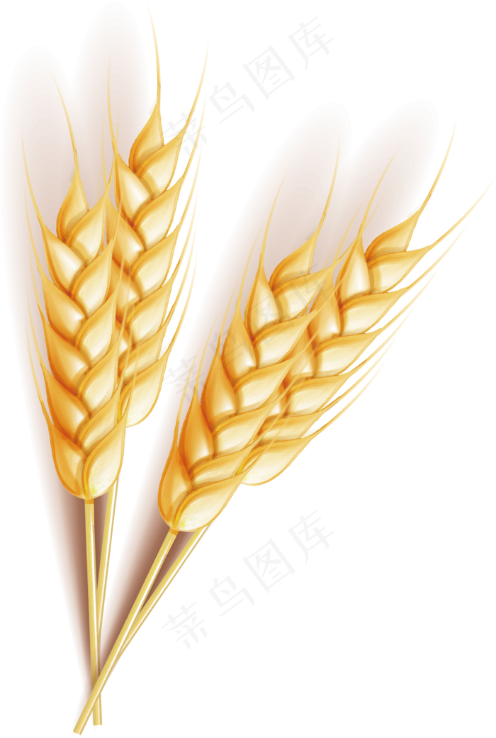 秋天丰收小麦稻谷农产品食物png免...