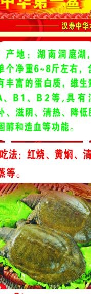 酒店展架图片cdr矢量模版下载