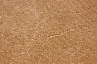真皮纹理
