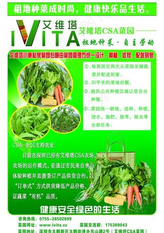 绿色蔬菜海报图片