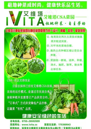 绿色蔬菜海报图片