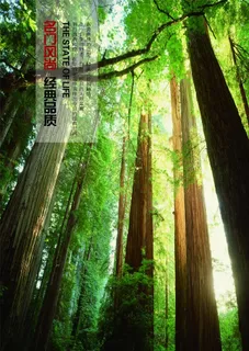 画册内页 画册内页